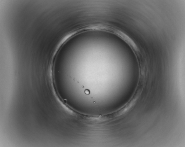 X0000115430855200911121102