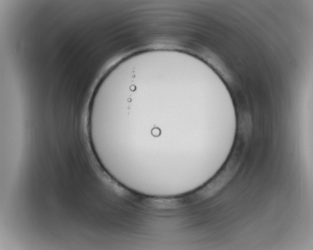 X0000115430856200911121102