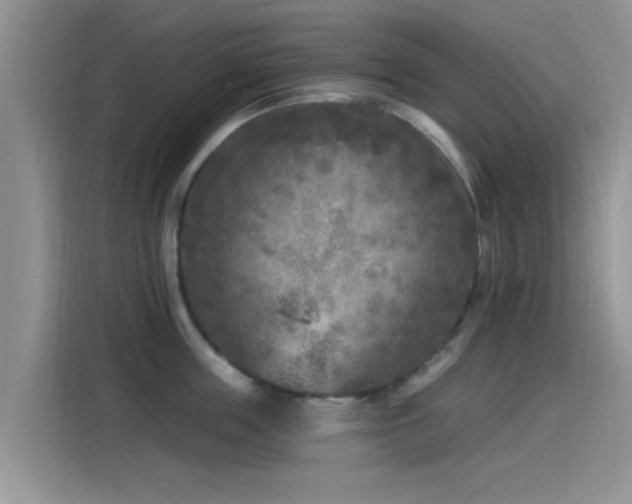 X0000115430859200911121102