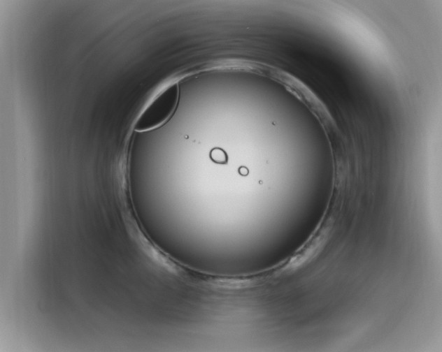 X0000115430860200911121102