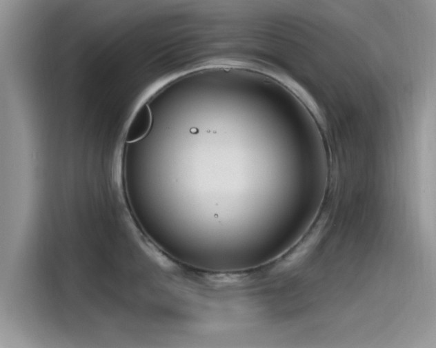 X0000115430862200911121102