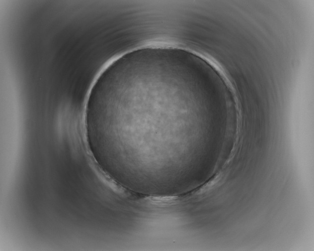 X0000115430864200911121102