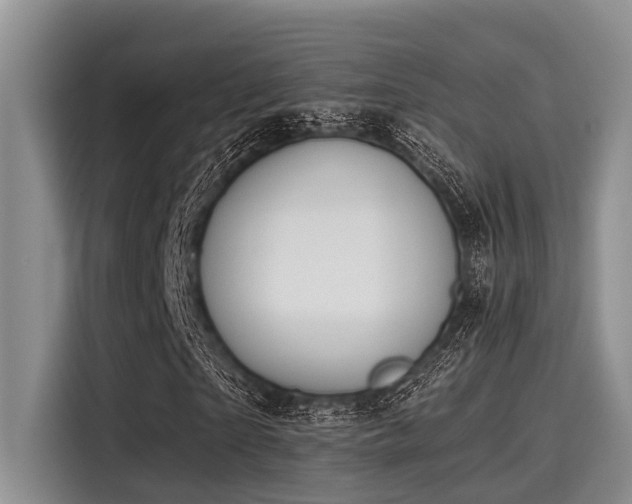 X0000115430865200911121101