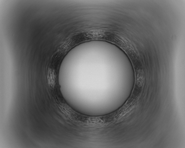 X0000115430866200911121101