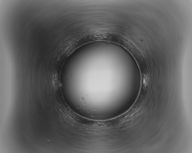 X0000115430867200911121101