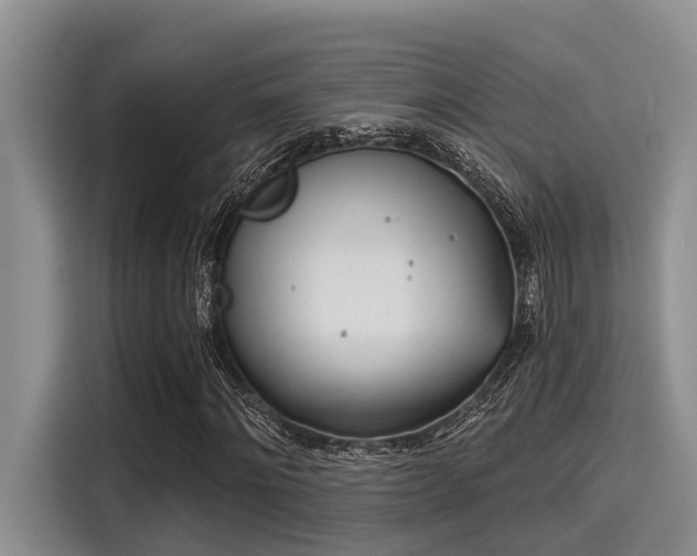 X0000115430868200911121101