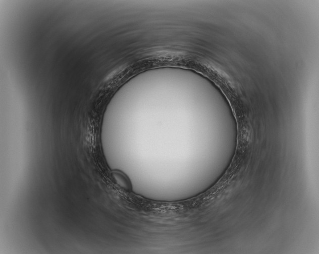 X0000115430869200911121101