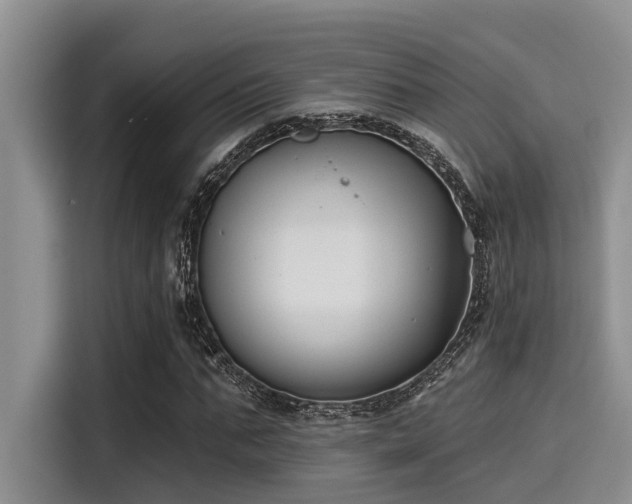 X0000115430871200911121101