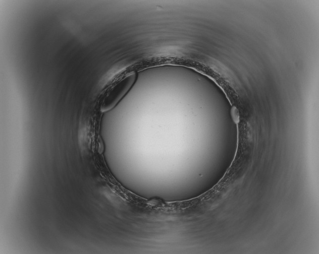 X0000115430872200911121101