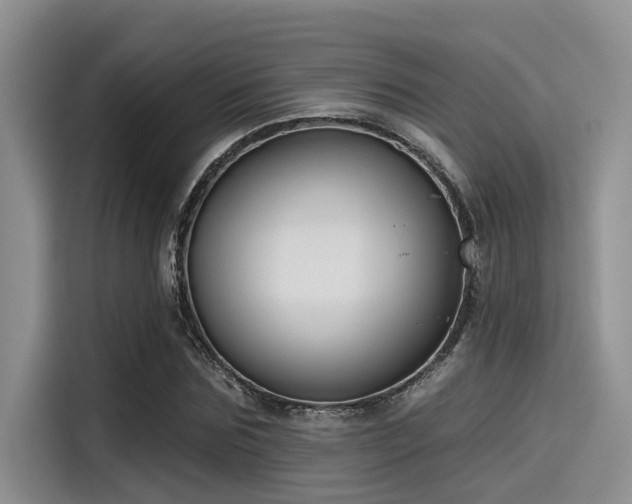 X0000115430875200911121101