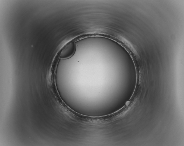 X0000115430876200911121101