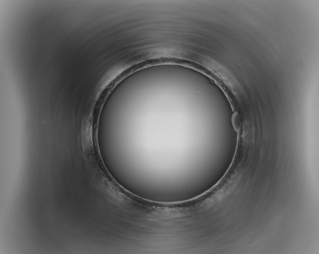 X0000115430877200911121101