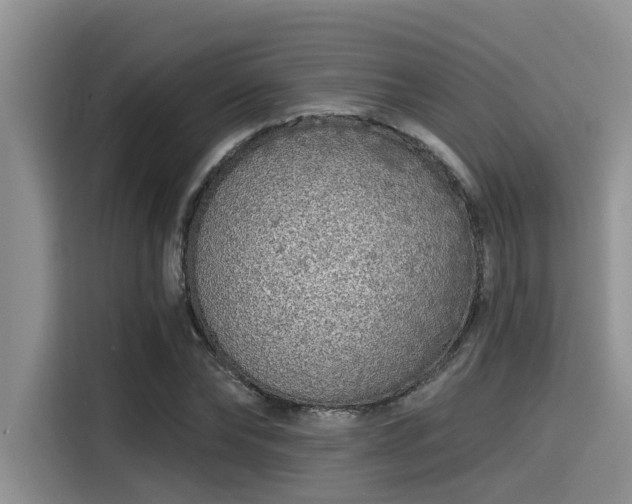 X0000115430878200911121101