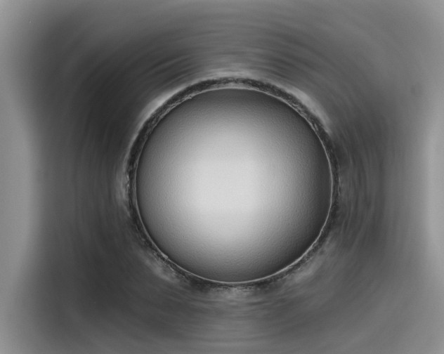 X0000115430879200911121101
