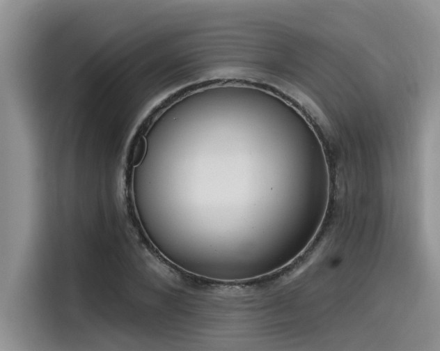 X0000115430880200911121101