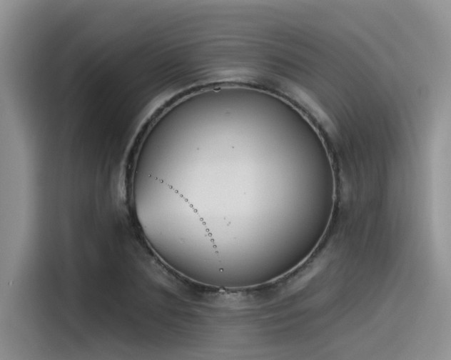 X0000115430883200911121101