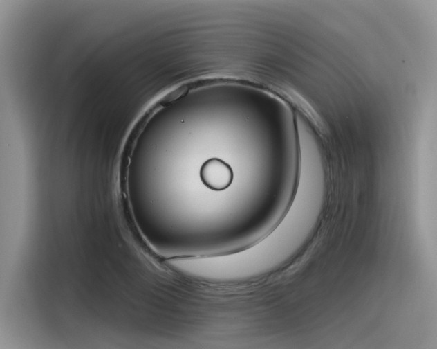 X0000115430884200911121101