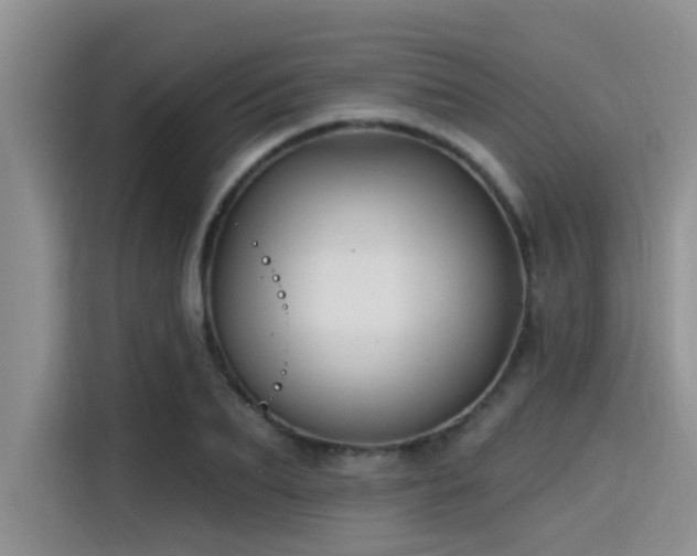 X0000115430887200911121101