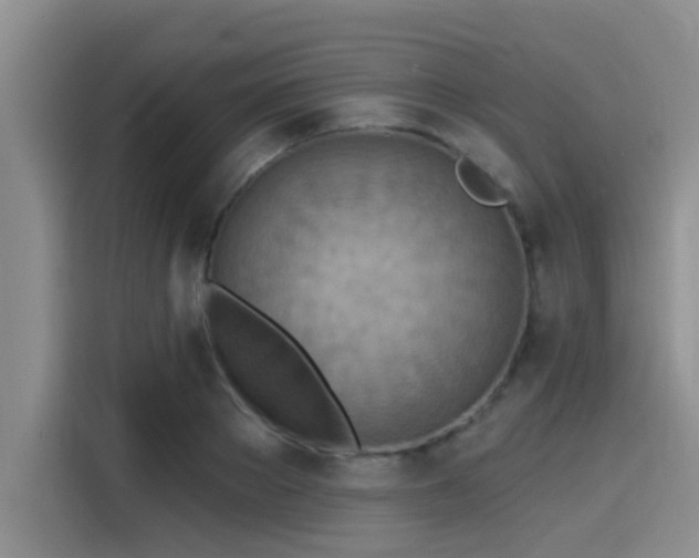 X0000115430889200911121101