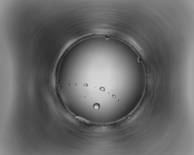 X0000115430891200911121101