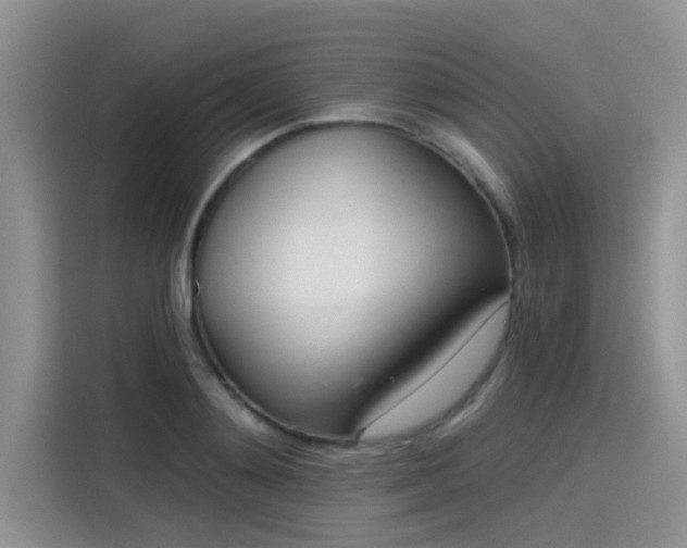 X0000115430892200911121101