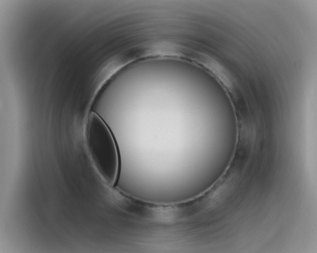 X0000115430893200911121101