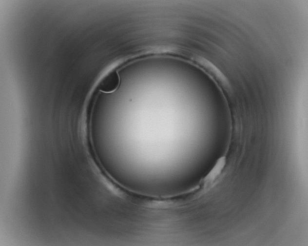 X0000115430894200911121101