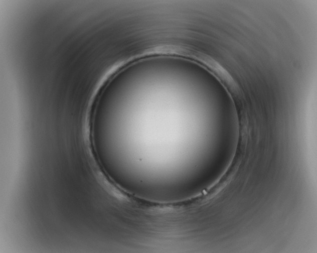 X0000115430896200911121101