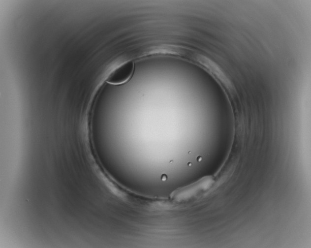 X0000115430898200911121101