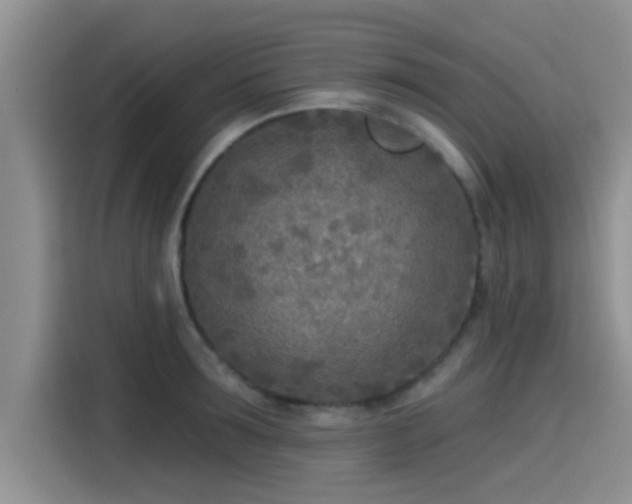 X0000115430899200911121101