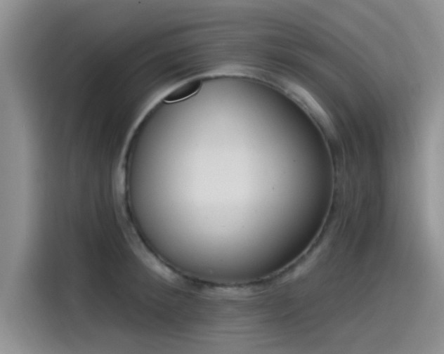 X0000115430900200911121101