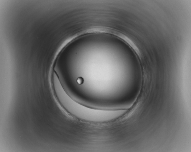 X0000115430901200911121101
