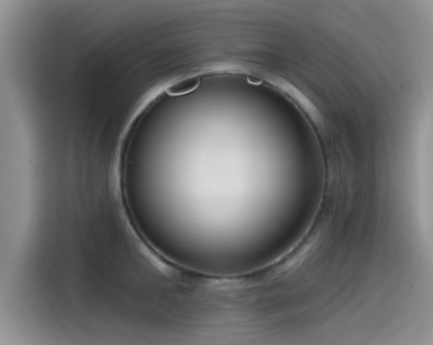 X0000115430902200911121101
