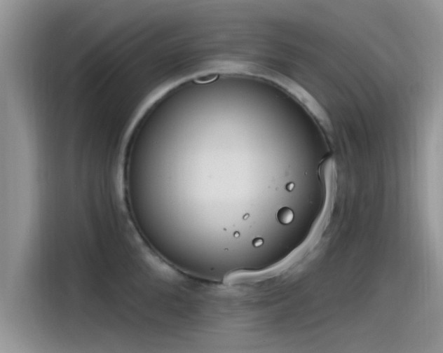 X0000115430904200911121101