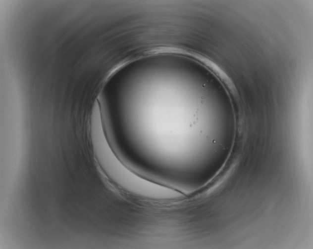 X0000115430905200911121101