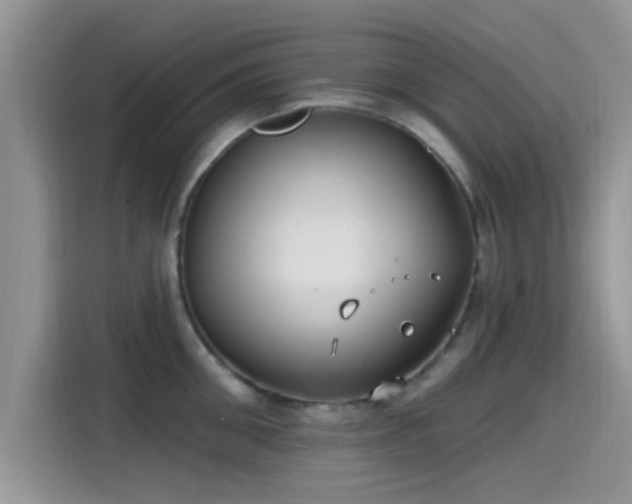 X0000115430906200911121101