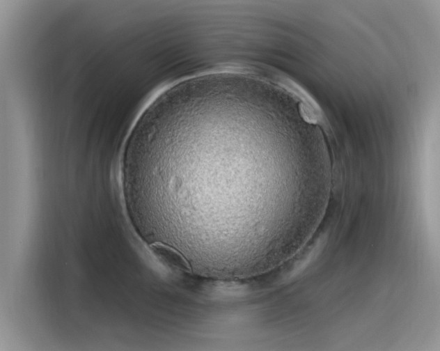 X0000115430907200911121101