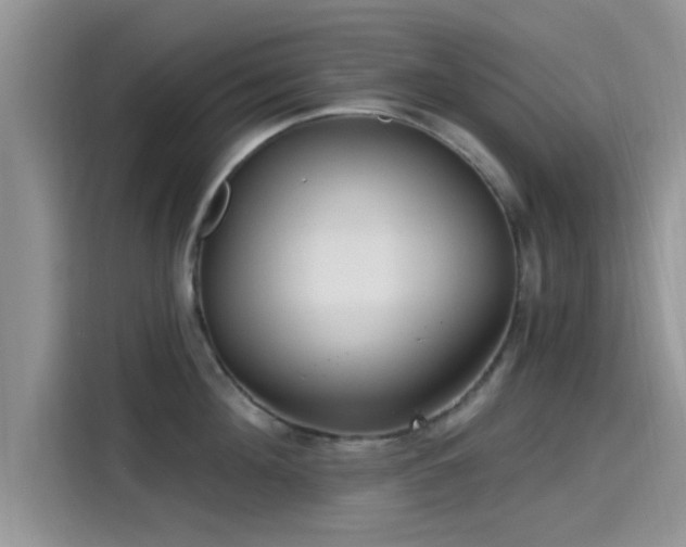 X0000115430908200911121101