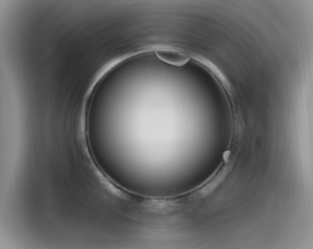 X0000115430910200911121100