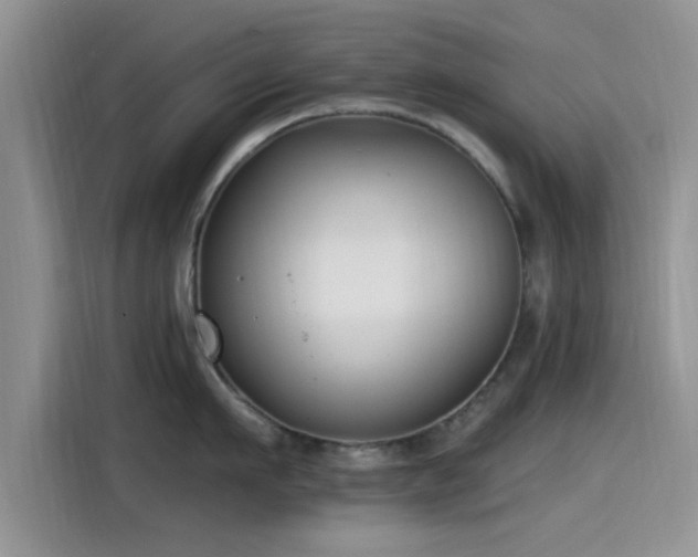 X0000115430911200911121100