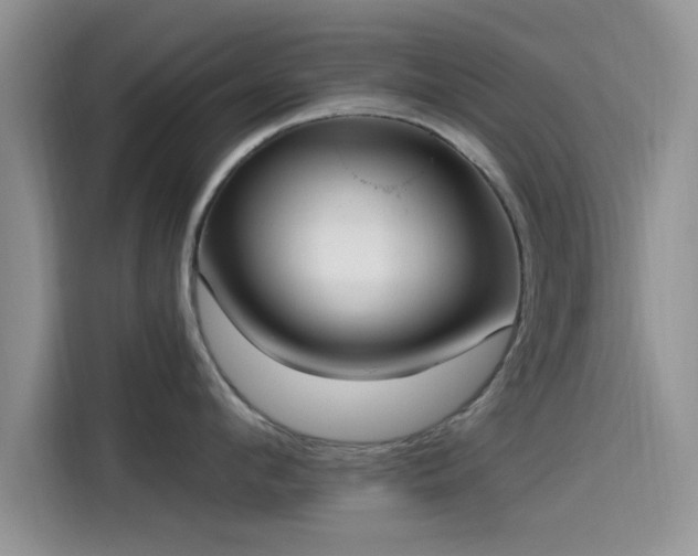 X0000115430912200911121100