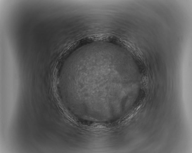 X0000115430913200911121100