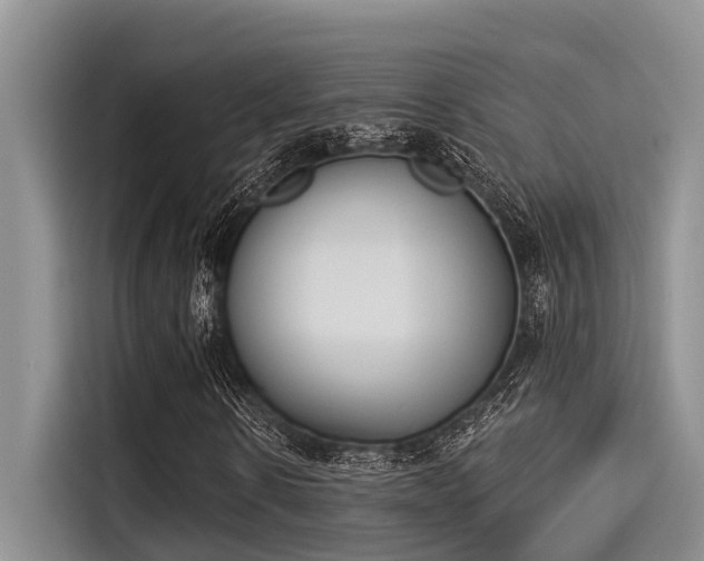 X0000115430914200911121100