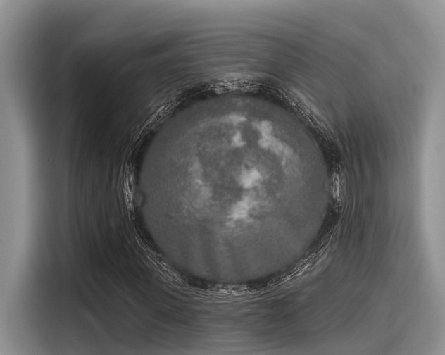 X0000115430915200911121100