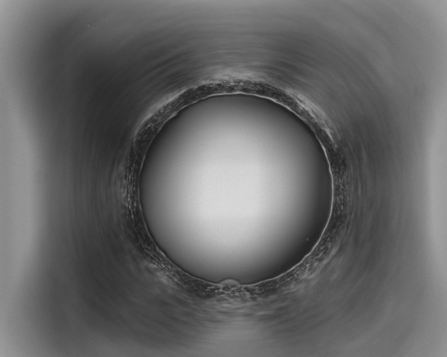 X0000115430919200911121100