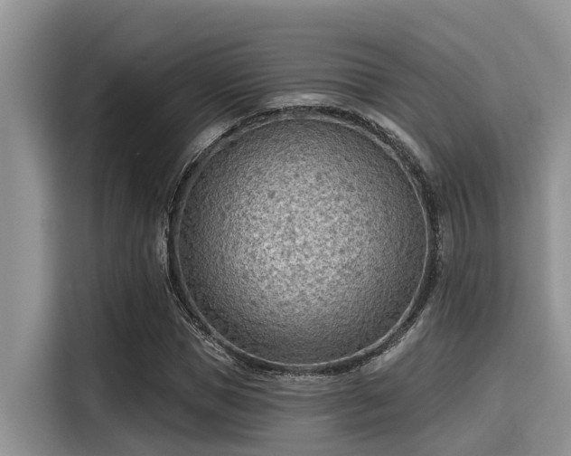 X0000115430921200911121100