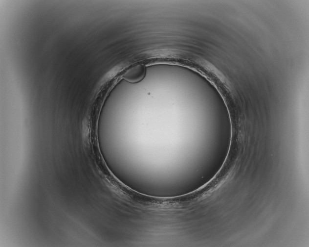X0000115430922200911121100