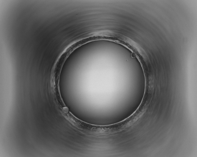 X0000115430923200911121100