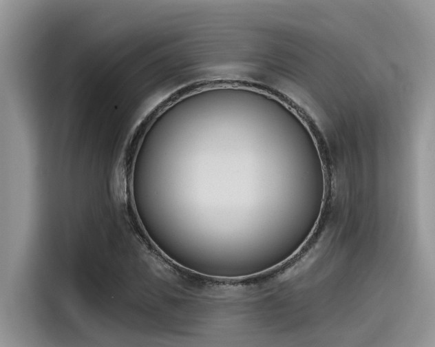 X0000115430925200911121100