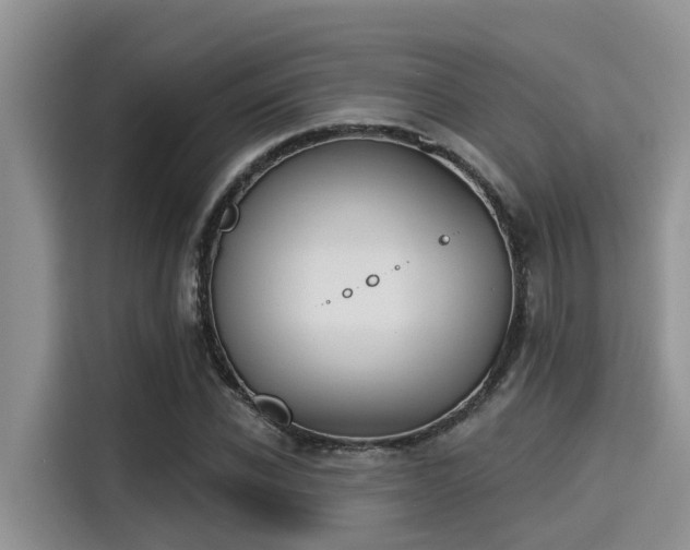 X0000115430926200911121100